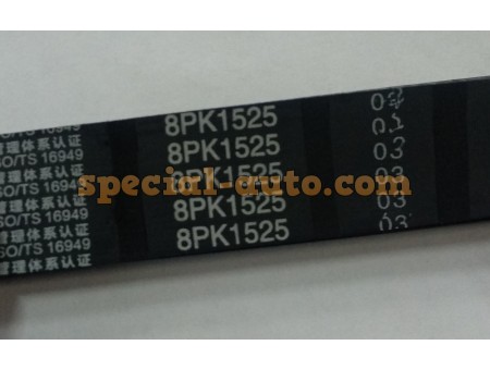 Ремень 8PK1525 качество (производитель QINYAN)